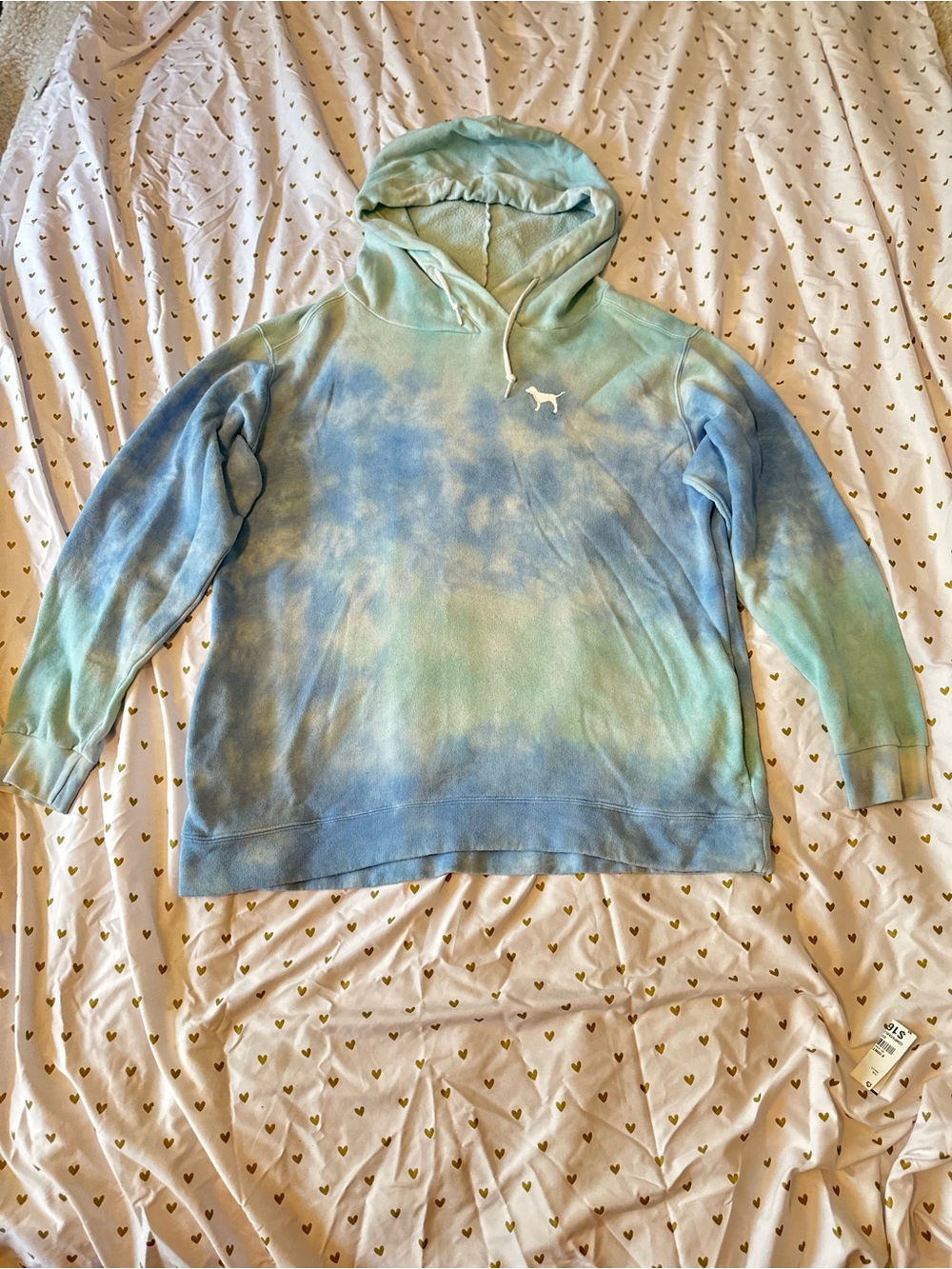 Victoria's Secret PINK Light Aqua Pullover Hoodie